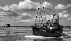 短信轰在线轰炸免费网站