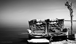 手机号接收平台